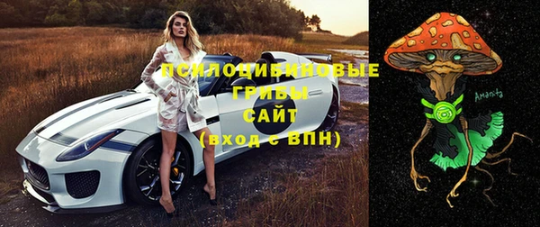 соль ск Гусев