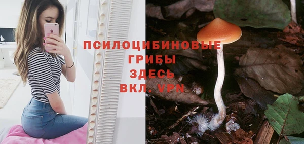 мдма Гусиноозёрск